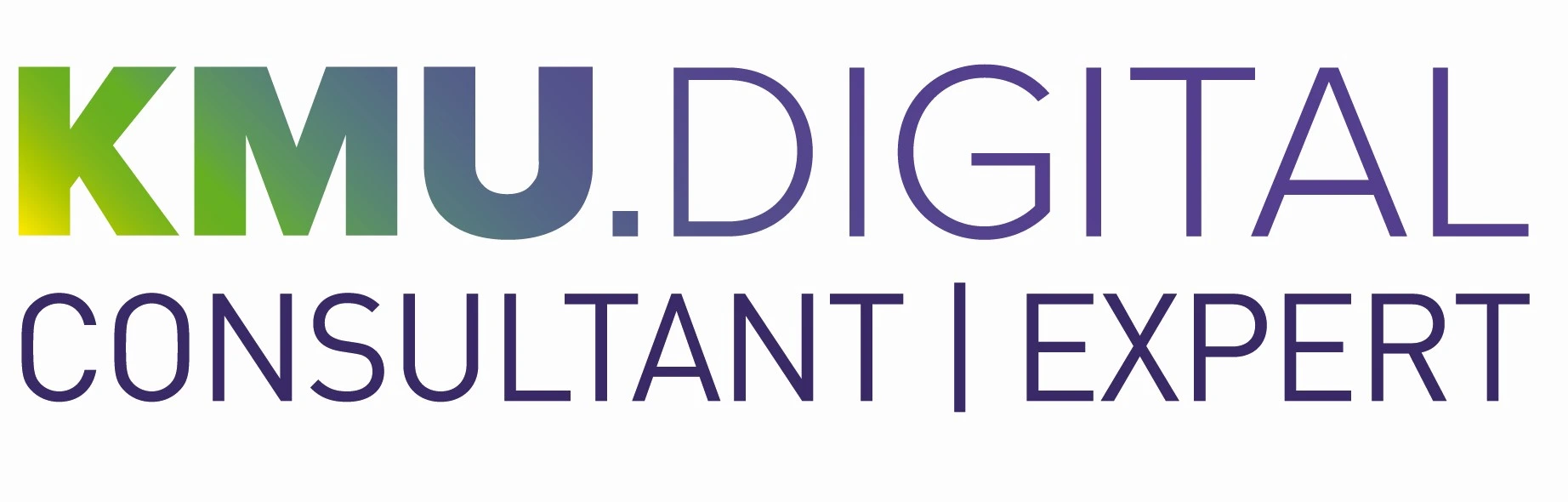 KMU Digital Consultant Expert